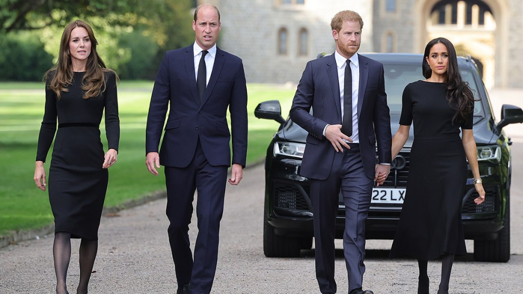 Kate Will Harry Meghan EDM