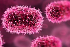 Sweden finds mpox variant identified in Africa
