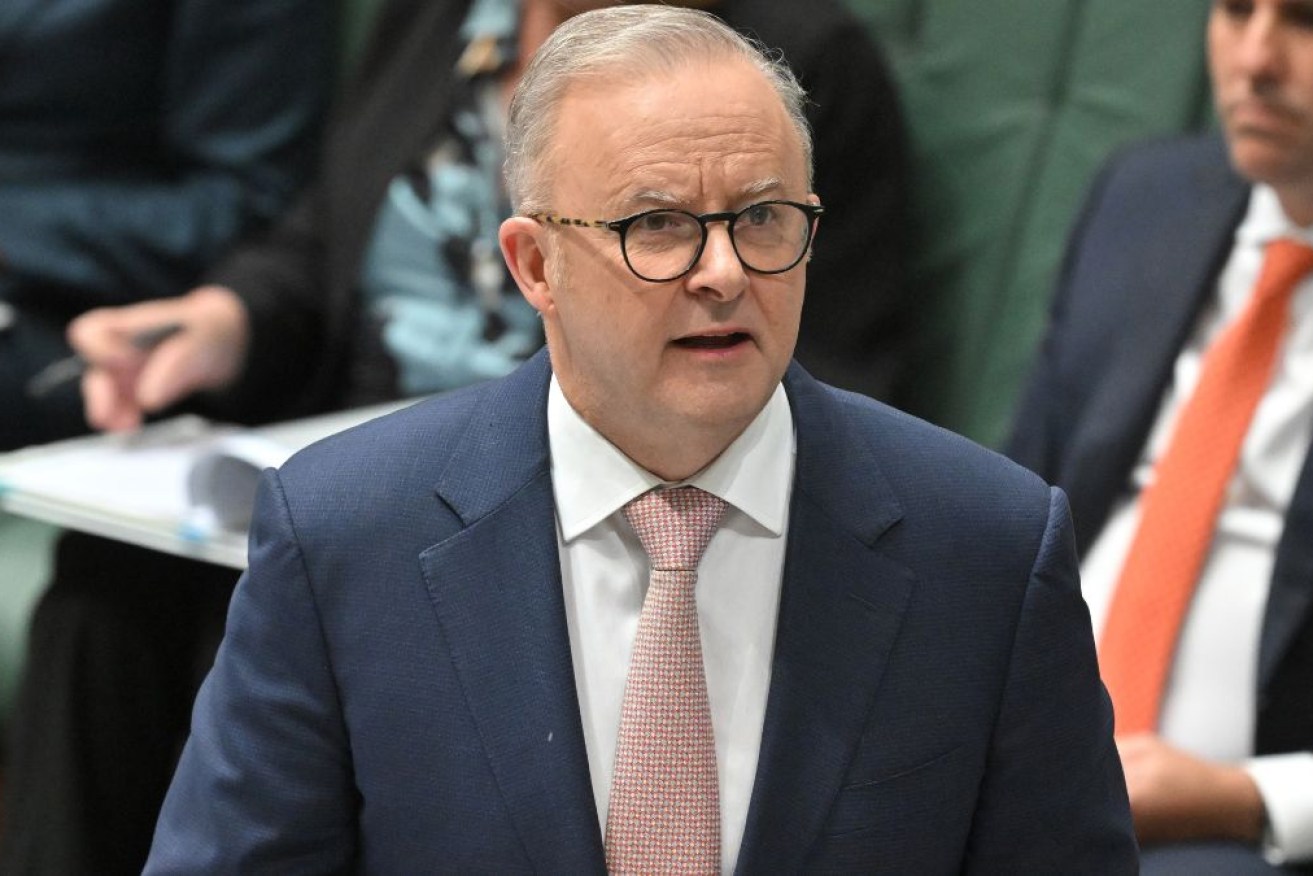 The Albanese government's plan has a long line of critics.