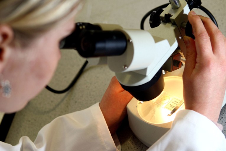 Experts link E.coli toxin to rise in bowel cancer