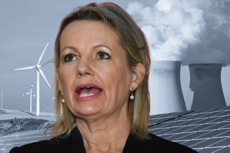 From nuclear to nature laws, here’s where Sussan Ley stands on four policy flashpoints