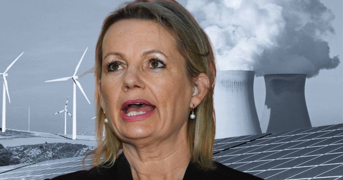 Here's where Sussan Ley stands on four policy flashpoints