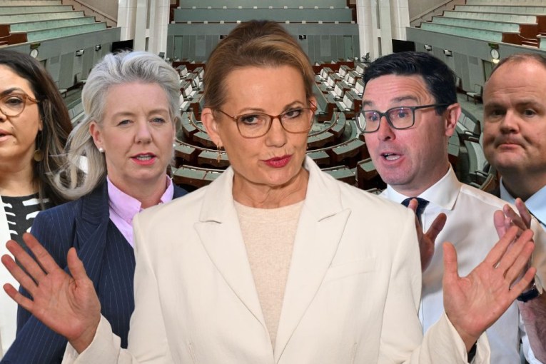 Coalition 'situationship' has even its closest baffled