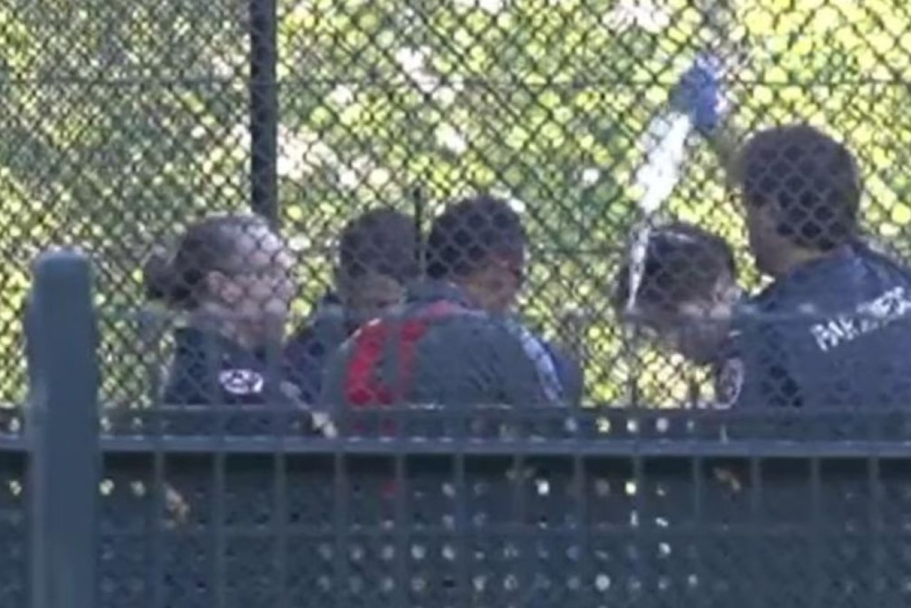 Paramedics treated the teenager in the cricket nets.