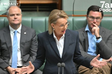 How hate speech blew up the Coalition