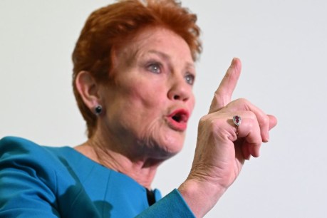 Audit shows fundraising is ‘ridgy didge’: One Nation