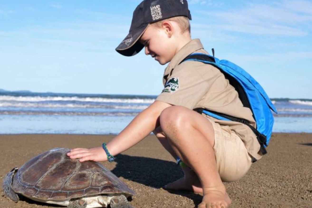 If you find a turtle on the beach, there's a list of things you must never do.