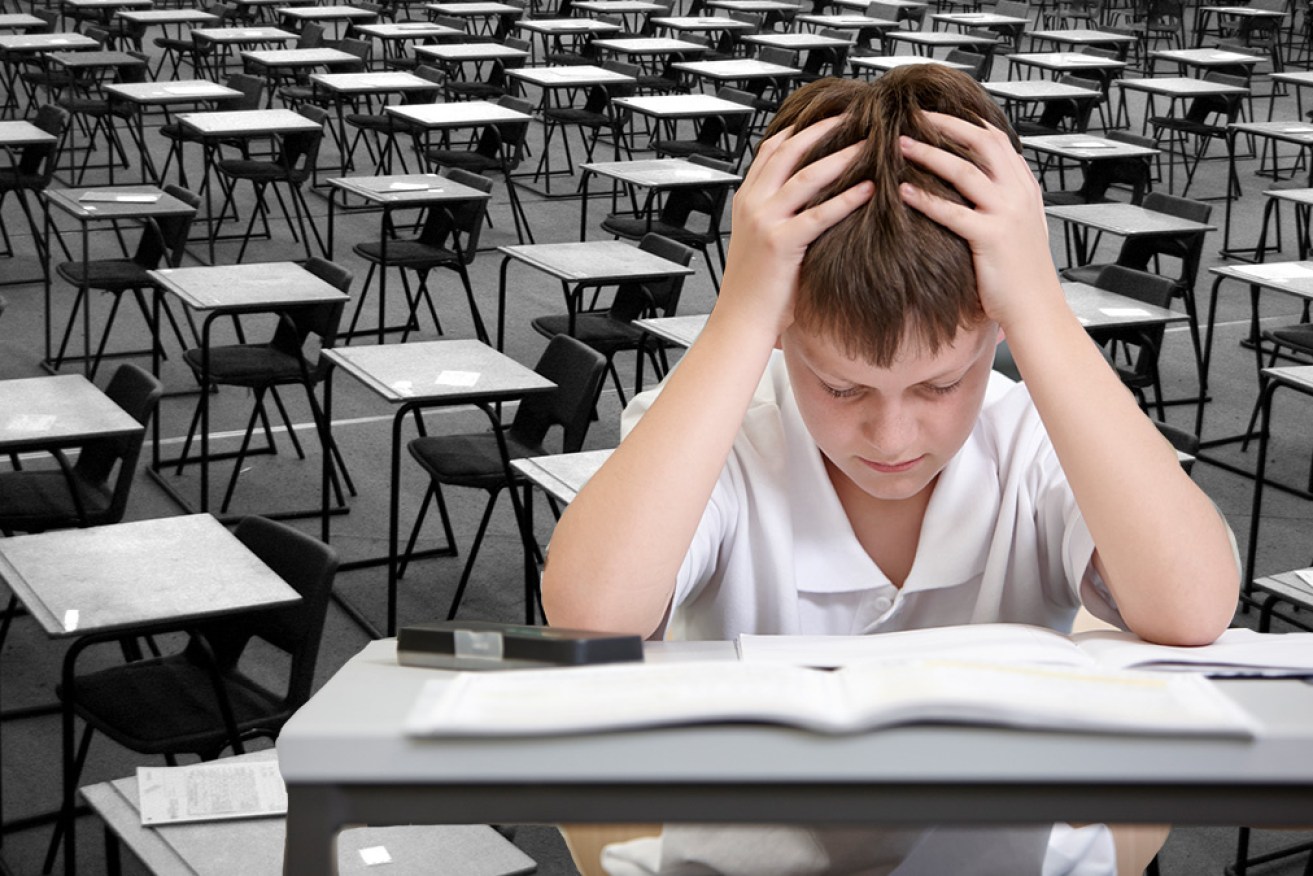 Education union and experts say this year's NAPLAN results shouldn't be trusted.