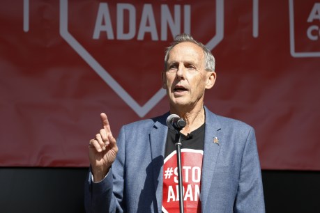 Election 2019: How Bob Brown and his anti-Adani convoy green-anted Labor in Queensland