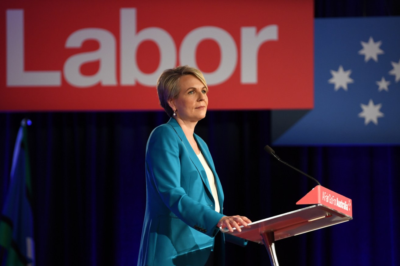 Tanya Plibersek has said governments must be "brave and bold" if they are to close the gender pay gap.