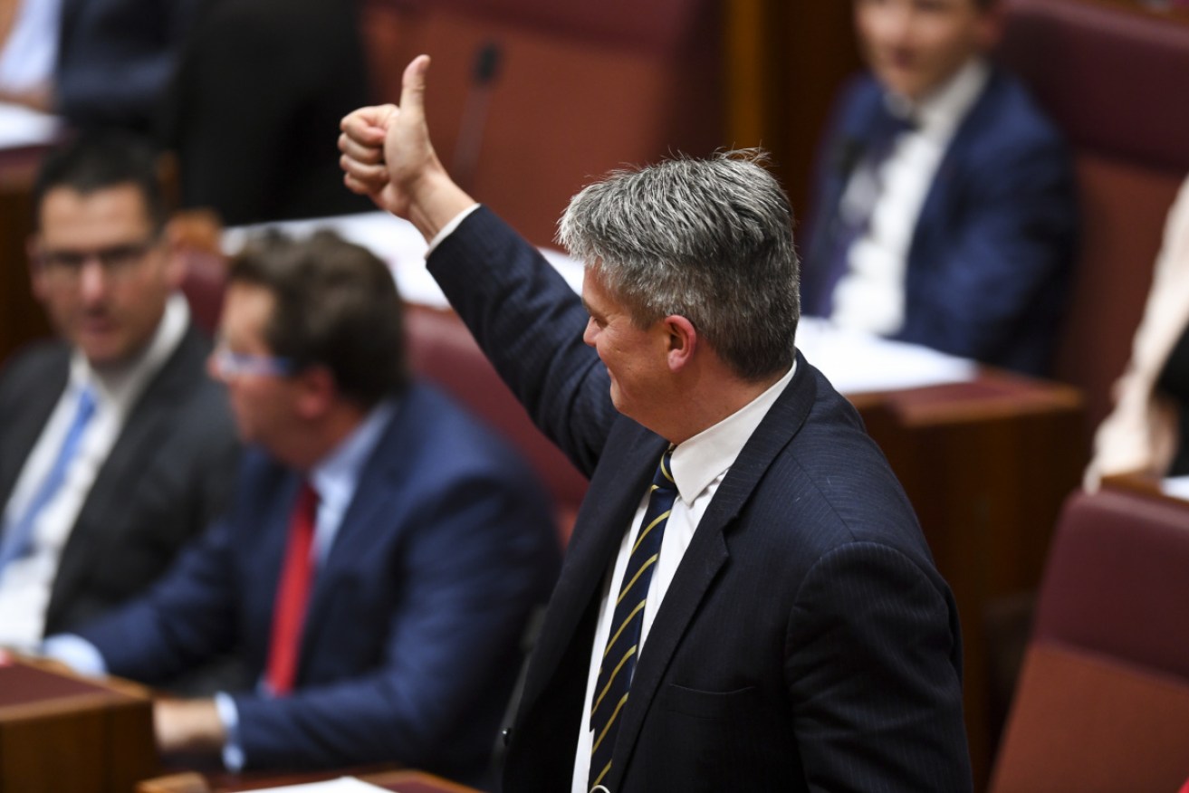 Finance Minister Mathias Cormann during debate on the government's company tax legislation in the Senate.