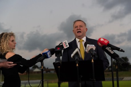 Albanese unlikely to back Coalition's full tax cuts