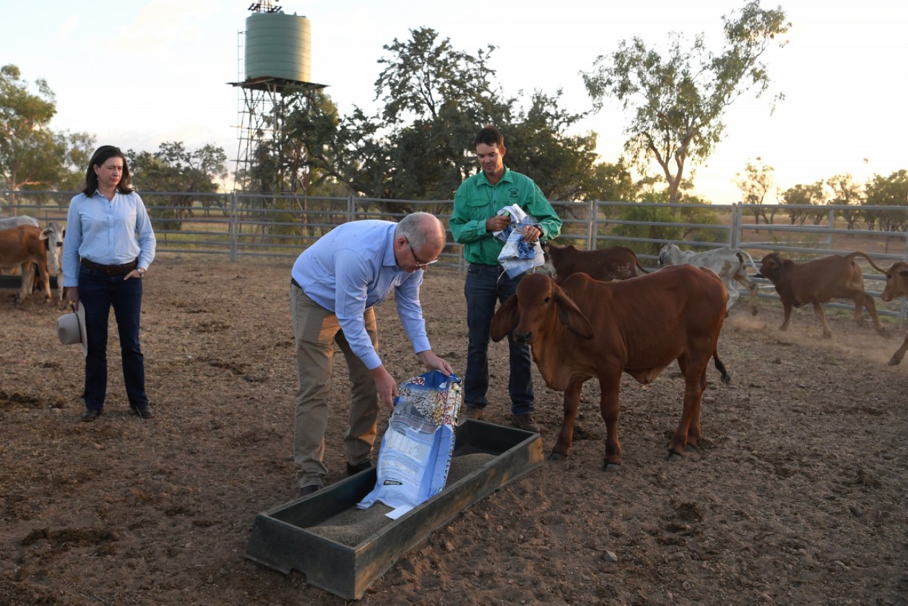 Mr Morrison first visited the Gipsy Plains stud near Cloncurry in February after floods wiped out 2500 of the Curley family's cattle.