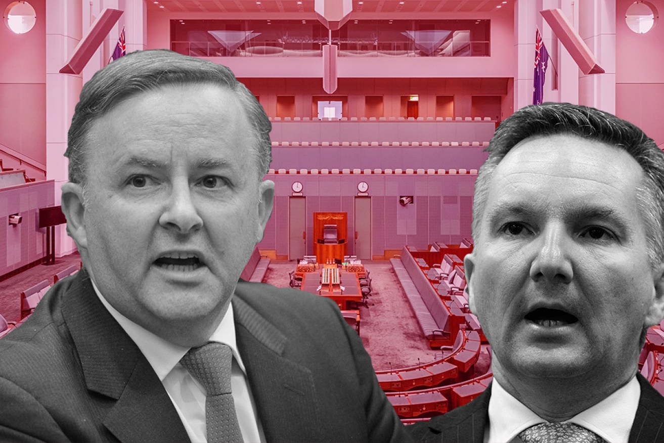 Labor's left faction Anthony Albanese and the right's Chris Bowen  squared off for leadership, but only for a day.