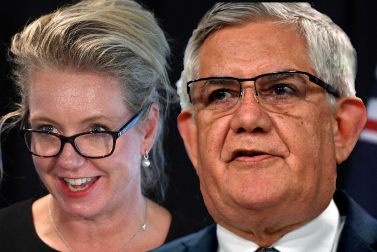 Bridget McKenzie will be the first female agriculture minister, while Ken Wyatt is the first Indigenous cabinet minister.