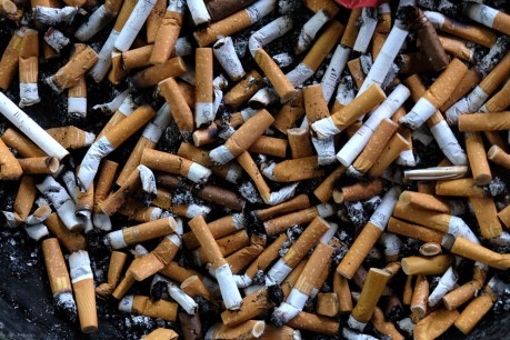 Legal smoke sales soar after black market blitz