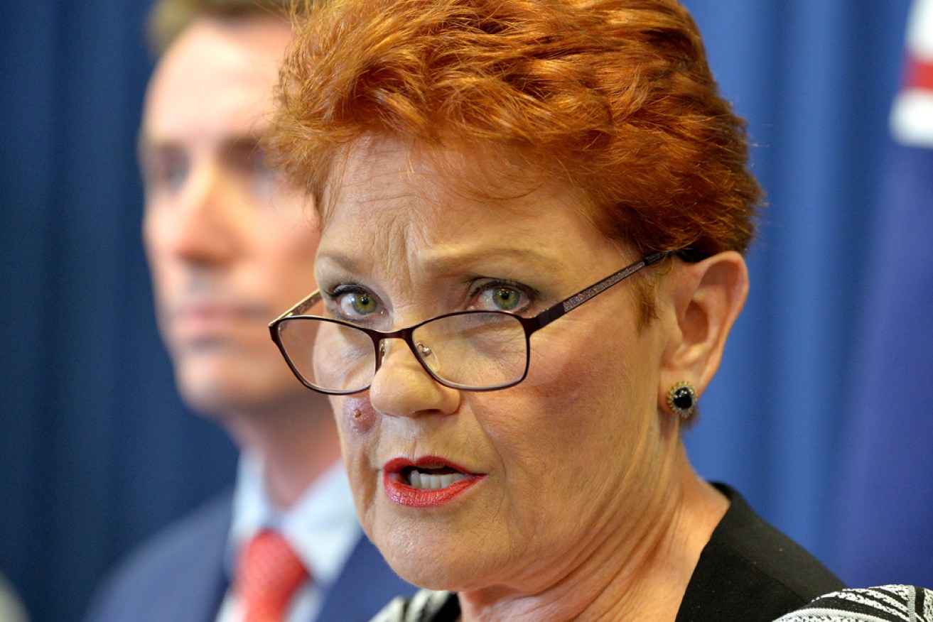Pauline Hanson believes the Family Court system is weighted against men.