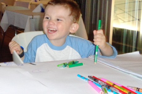 NSW Coroner releases early clues found during search for young William Tyrrell