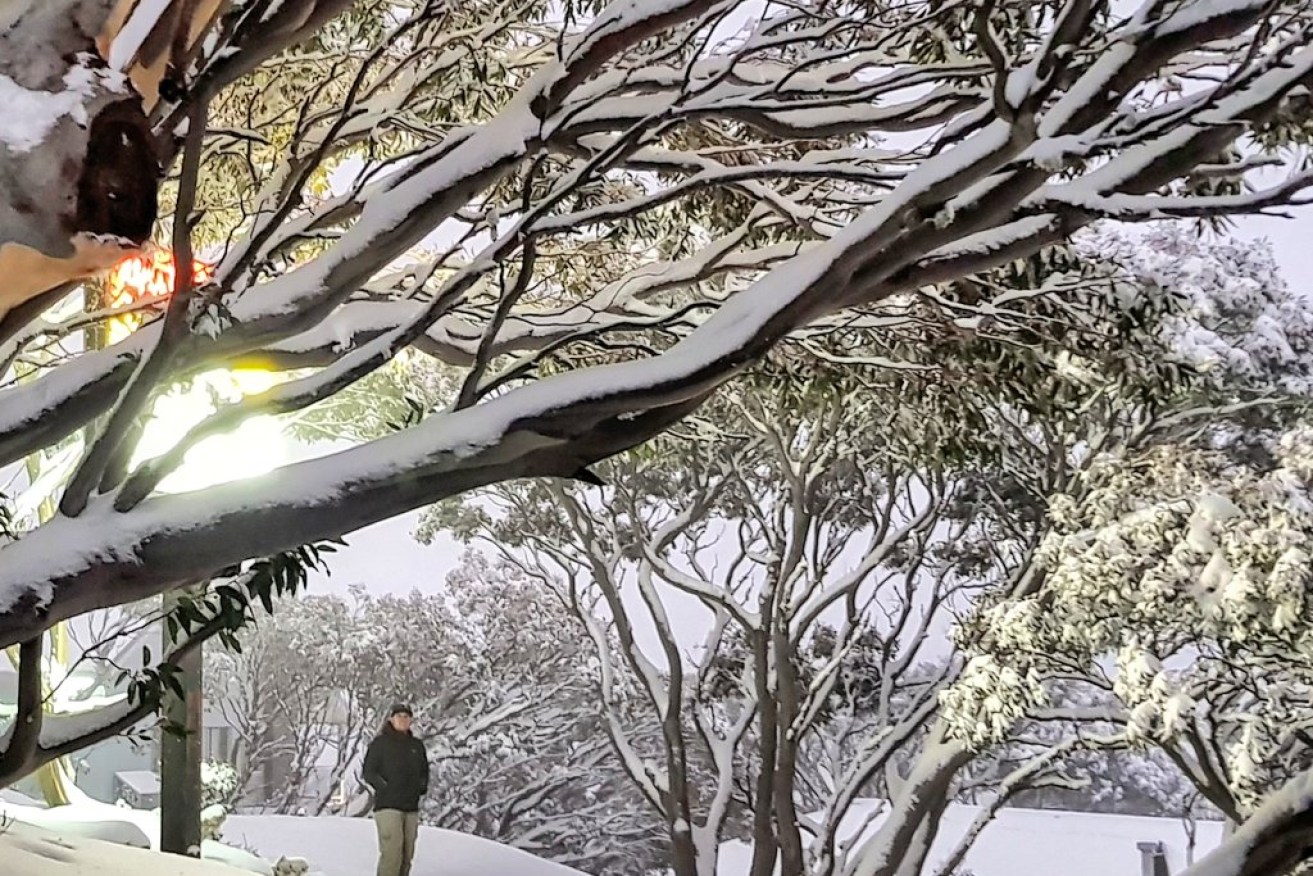 The village of Hotham under snow as wild weather dumps flakes on the Blue Mountains and dusts parts of Queensland. 