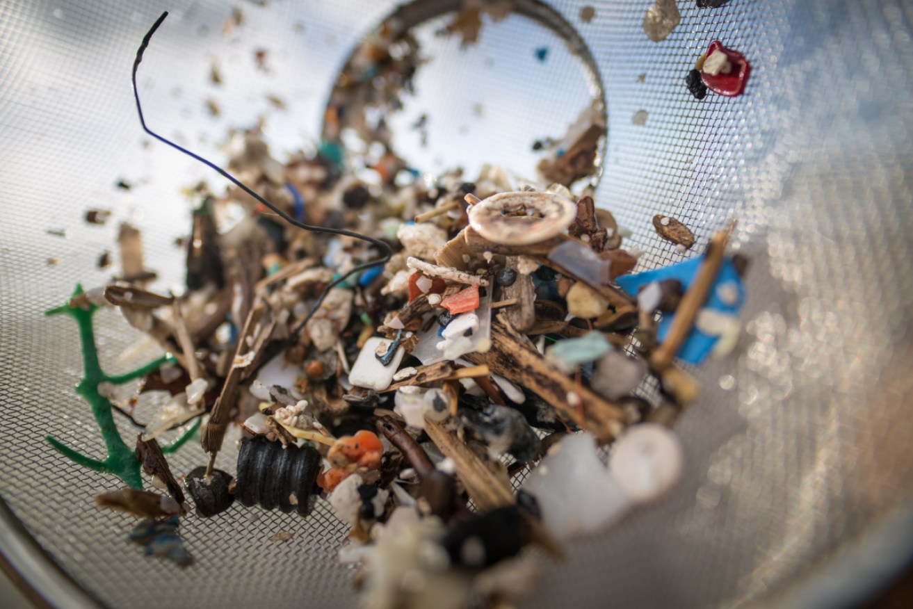 'Pervasive' plastics and their microparticles have been showing up in all corners of the environment.