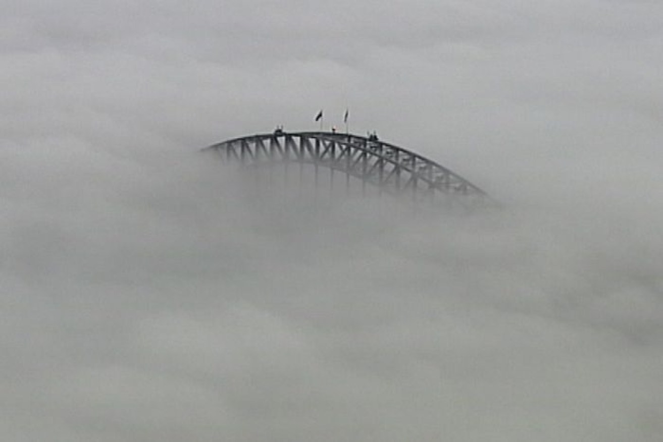Sydney has woken up to fog blanketing the city, including the Harbour Bridge, and causing flight delays. 
