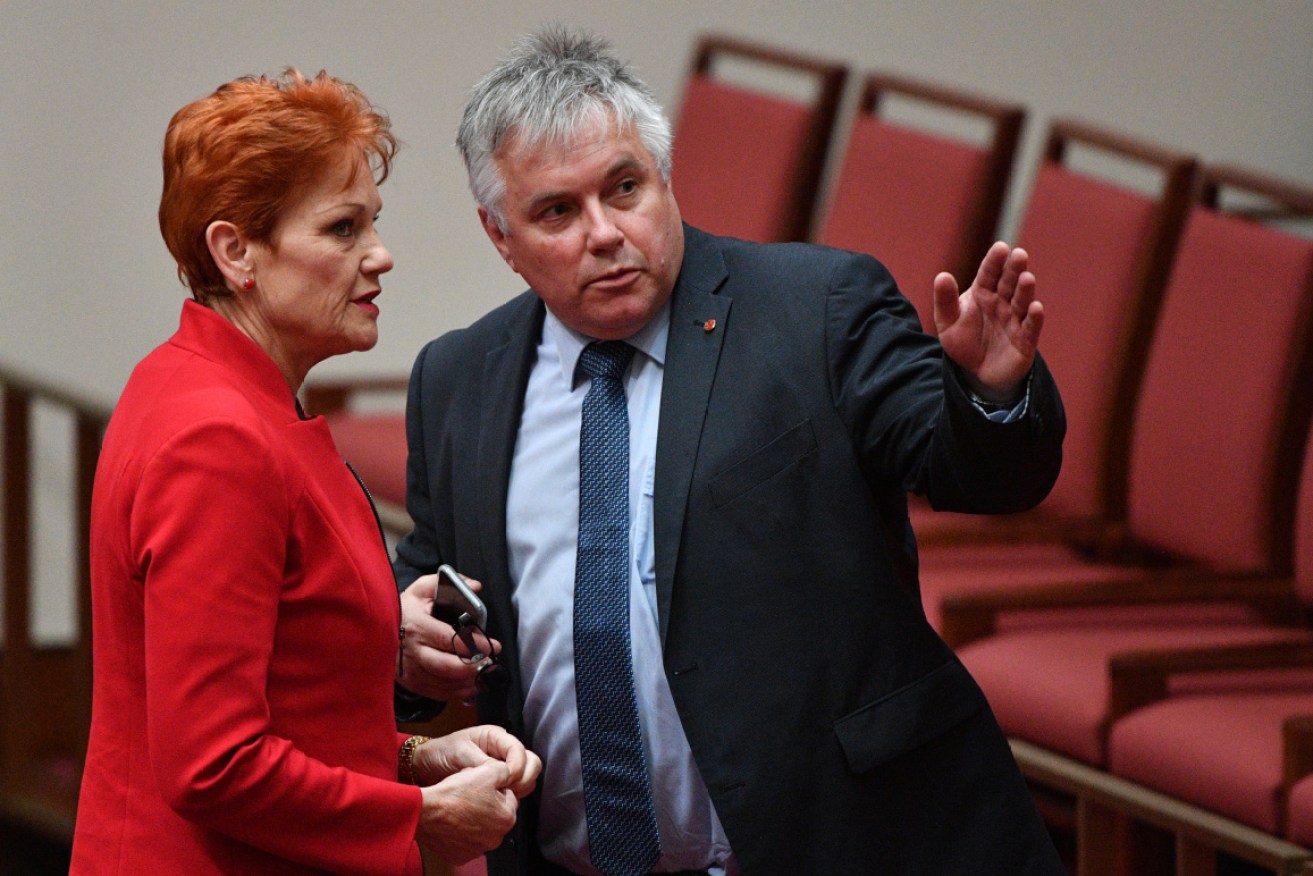 Senators Pauline Hanson and Rex Patrick.