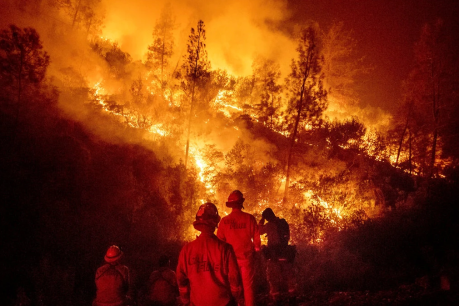 He tried to plug a wasp nest and ended up sparking California’s biggest wildfire