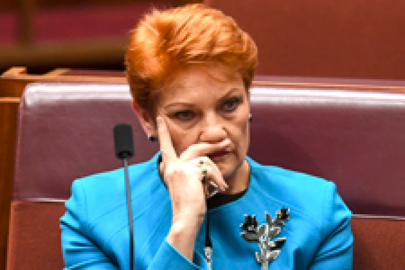 Senator Pauline Hanson didn't hold back in her criticisms.