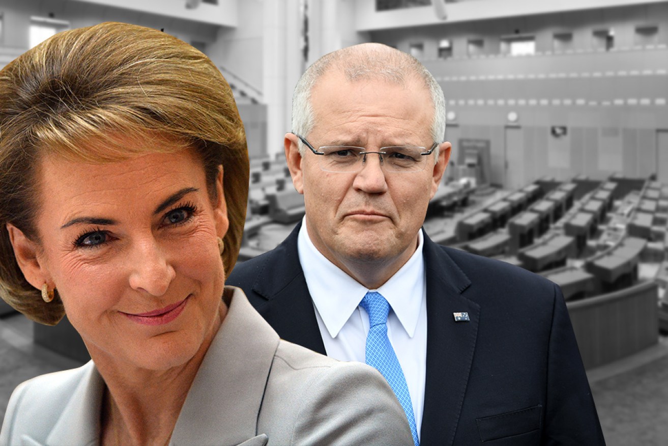 While we've been distracted by Labor's mess, Morrison's government – including Michaelia Cash – have been flying under the radar.