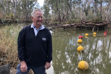 ‘Reckless’: Farmers left high and dry after Murray River water goes missing