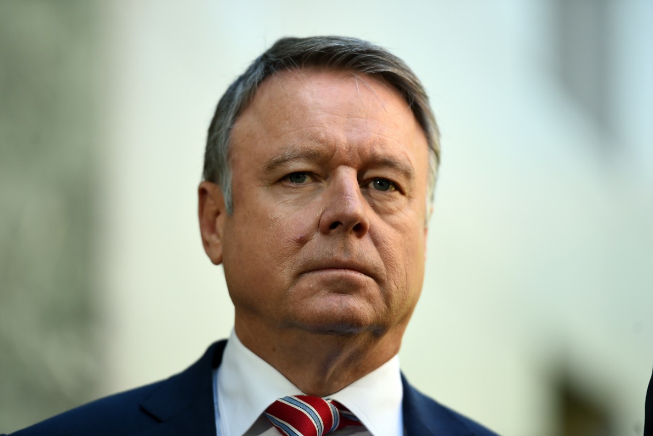 Joel Fitzgibbon has warned the Labor Party could split if it fails to reconcile the views of inner-city progressives and workers in traditional industries.