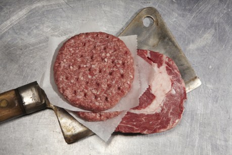 Would you eat meat grown from cells in a laboratory? Here’s how it works