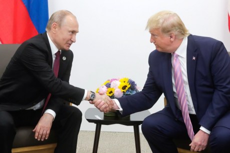 US President Donald Trump asks Russian president Vladimir Putin not to meddle in US polls