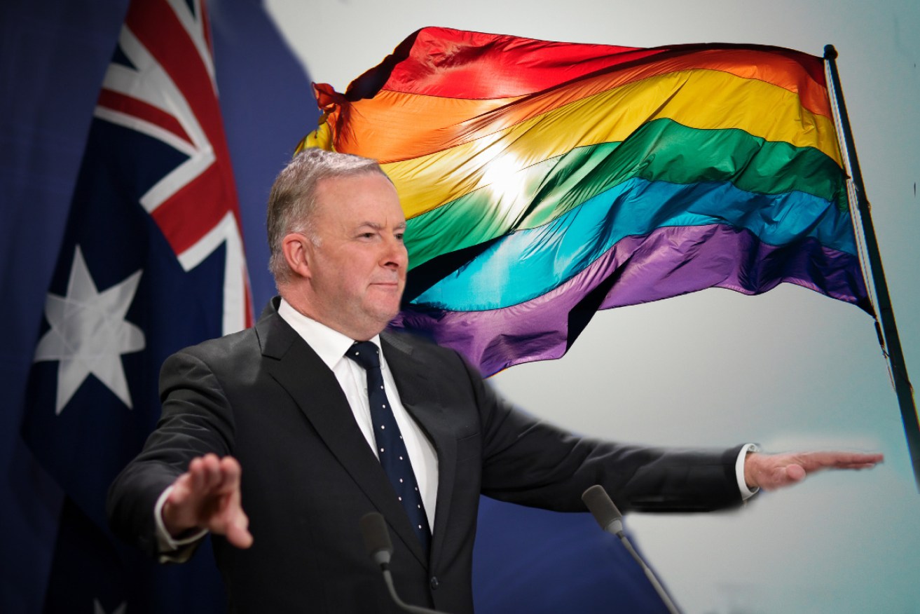 Labor leader Anthony Albanese has told shadow cabinet there is too much 'LGBTIQ' in Labor policy. 