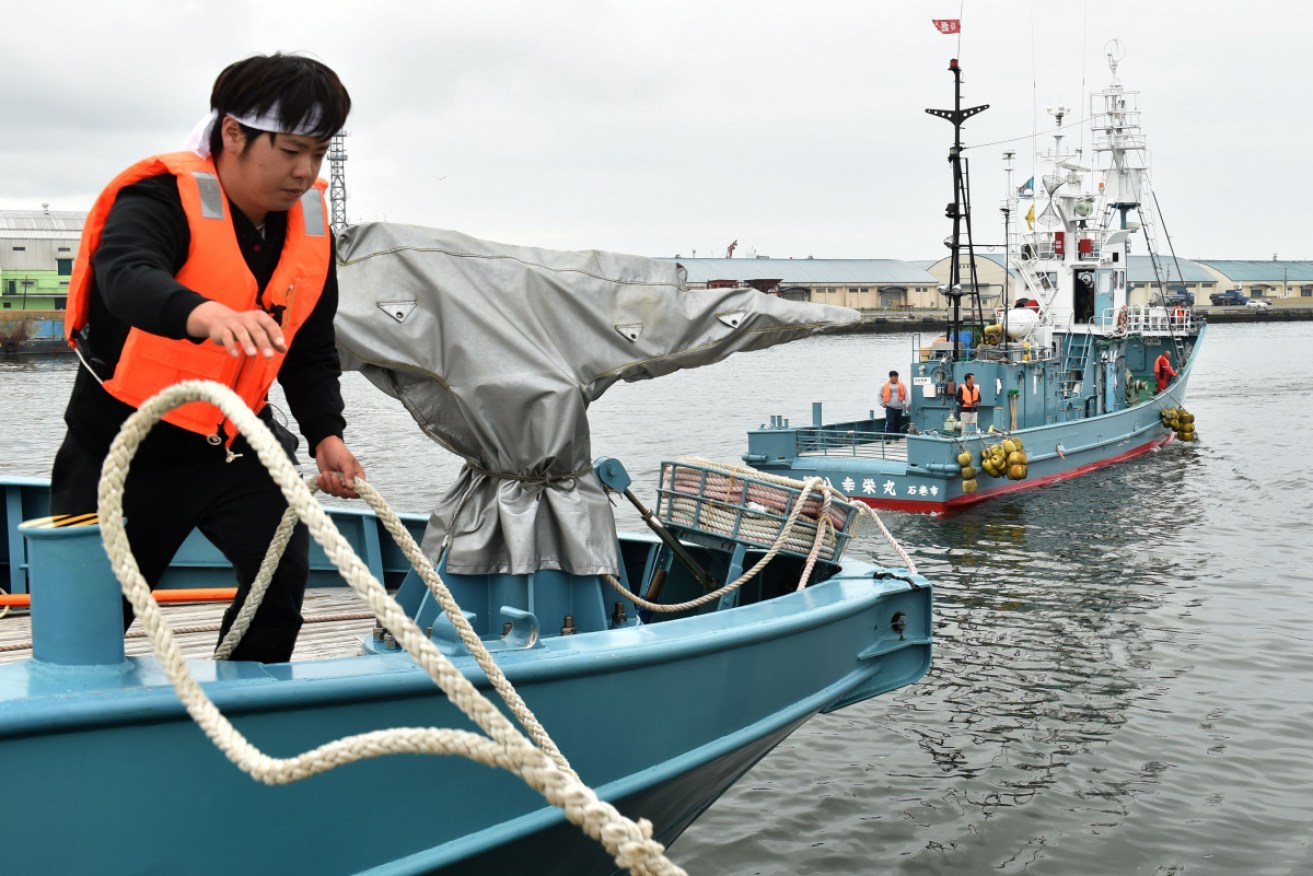 A whaling ship departs the port of Kushiro on the day Japan announced whale hunting would resume.