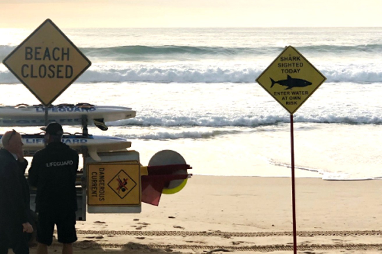 Manly Beach was closed after the shark attack.