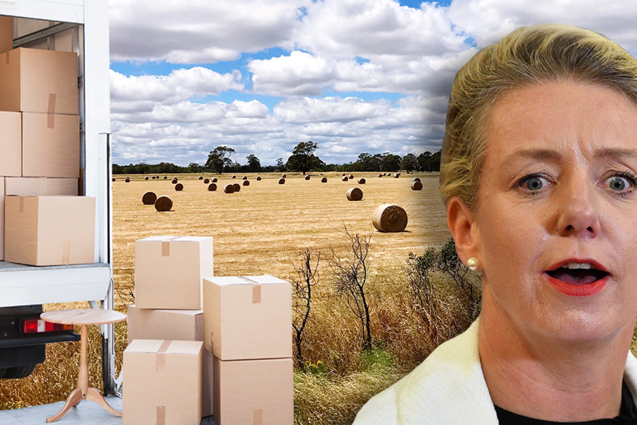 A Freedom of Information request has revealed the cost of Bridget McKenzie’s office relocation.