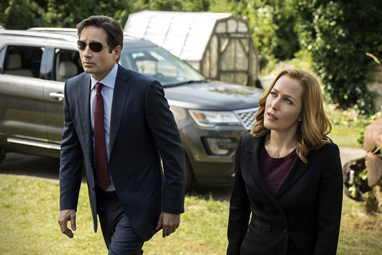 <i>The X Files</i>' agents Mulder (David Duchovny) and Scully (Gillian Anderson) faced down some of the small screen's biggest evils.