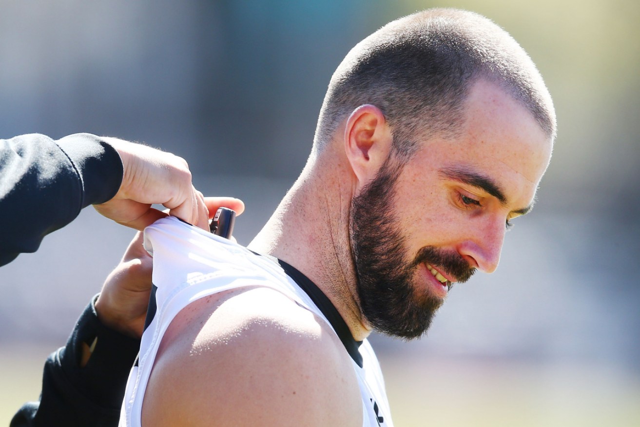 Magpie Steele Sidebottom gets his GPS tracker fitted.