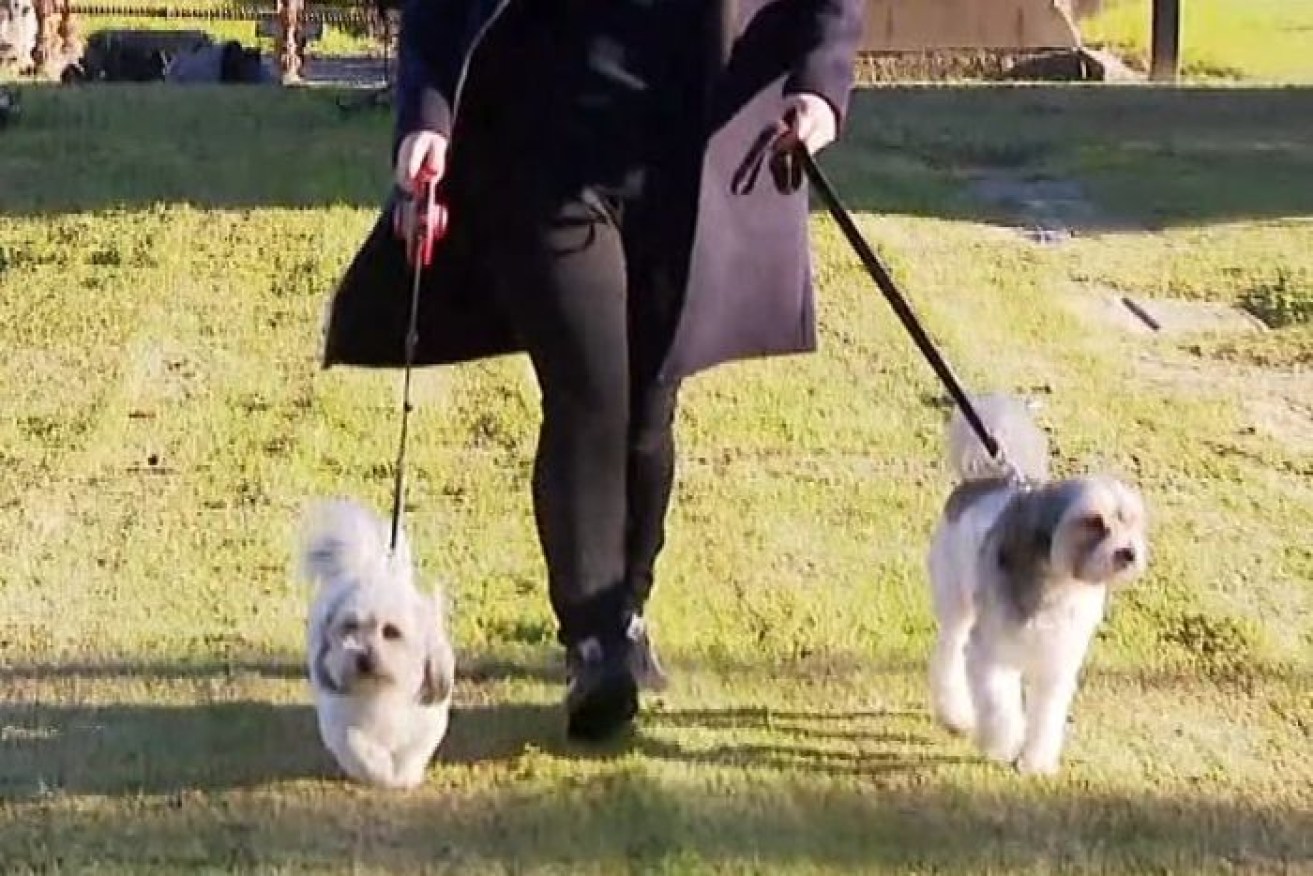 
PHOTO: Kate was in the habit of walking her dogs in the cemetery every night. 