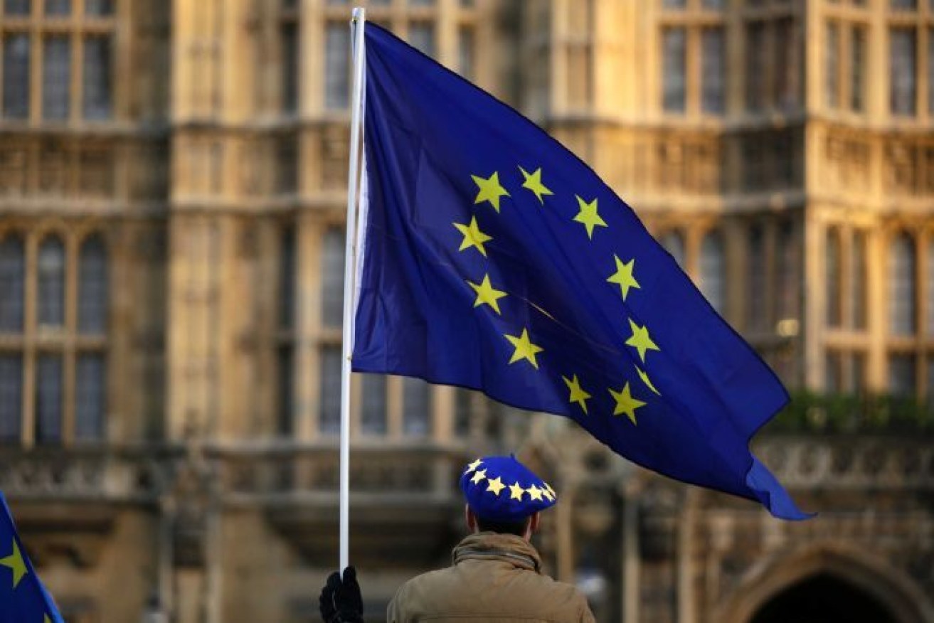 The European Union elections are the second biggest in the world, based on electors.