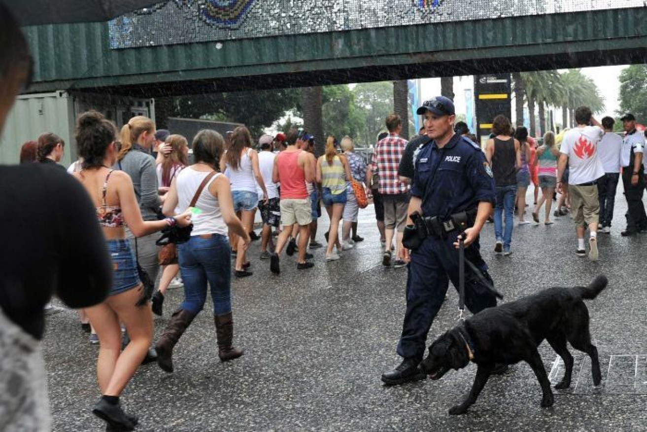 Paramedics have joined the call for pill testing at music festivals.