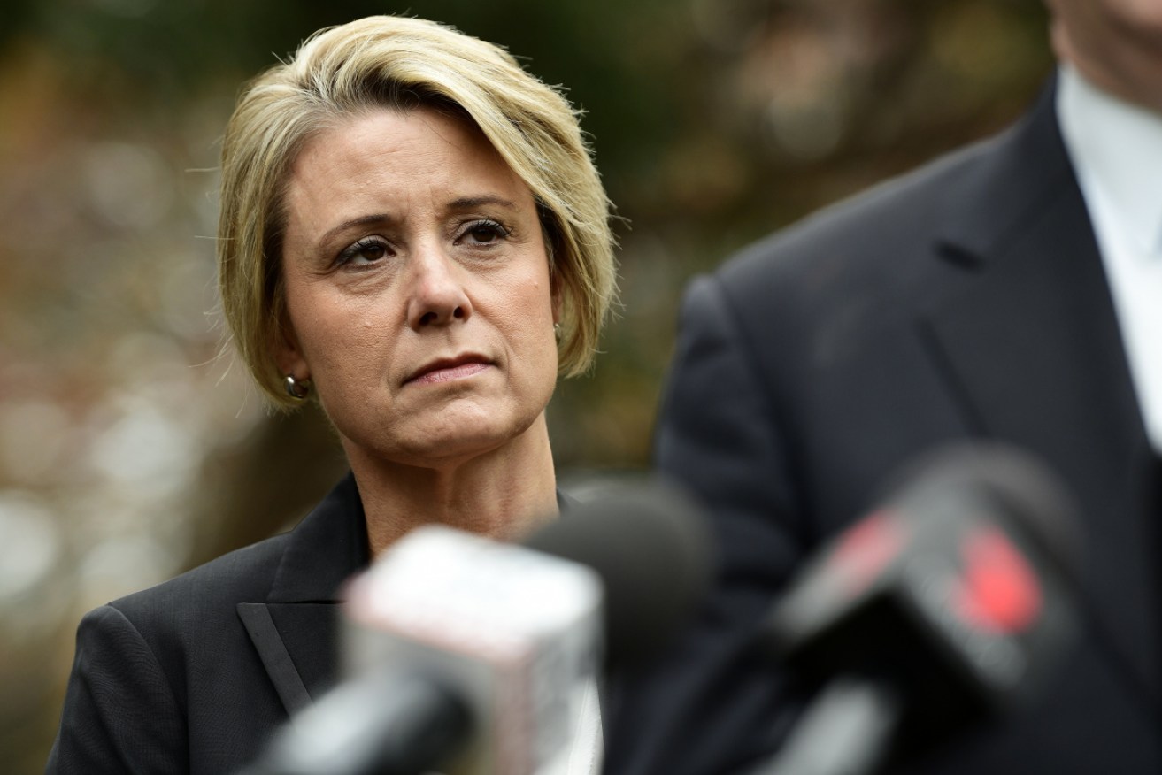 Kristina Keneally and fellow Labor senator Kim Carr have clashed over plans to back the foreign fighters exclusion bill.