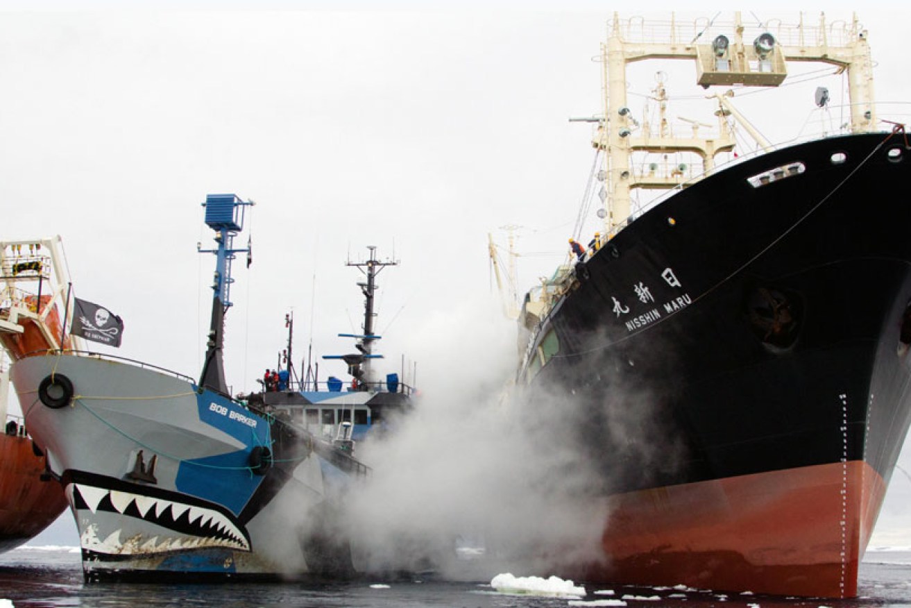 Sea Shepherd vessel <i>Bob Barker</i> is sandwiched by Japanese whalers with water cannons in <i>Defend, Conserve, Protect.</i>