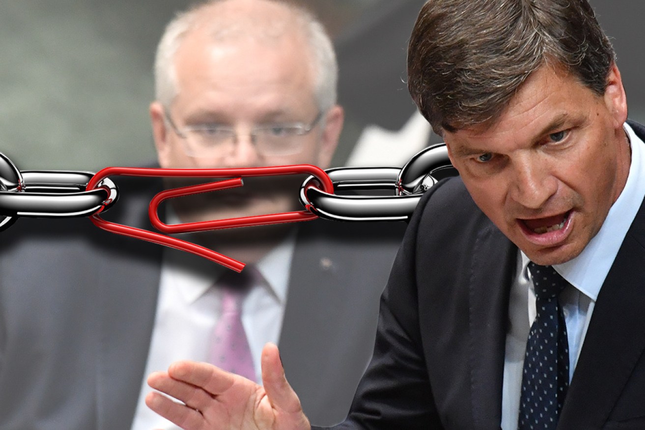 Angus Taylor is the chink in the government's armour, Paula Matthewson writes.
