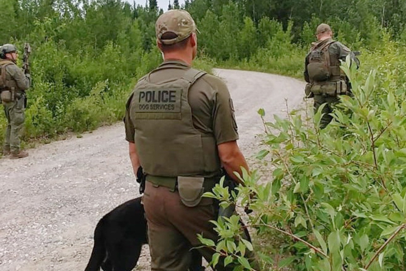 Police searching in the Gillam area on Saturday.