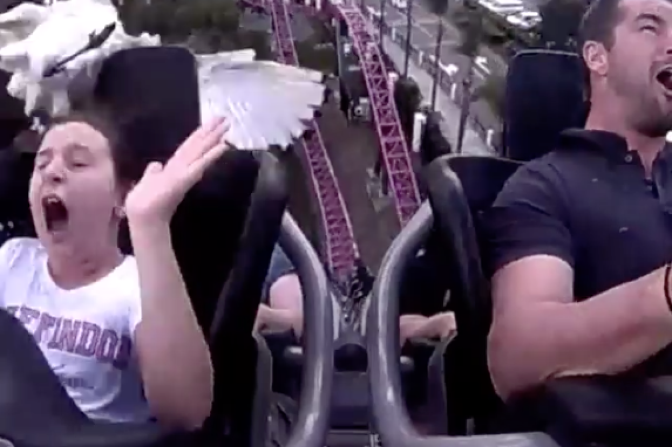 A young rollercoaster rider experienced more thrills than she bargained for after an unexpected encounter with a 'bin chicken.' 