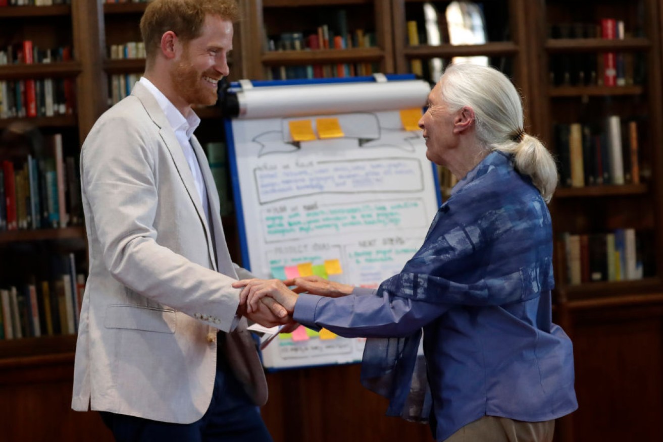 Prince Harry has told environmental activist Dr Jane Goodall he only wanted two children because of his fears for the planet.
