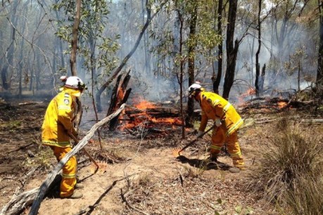 NSW braces for early bushfire season – with too little water