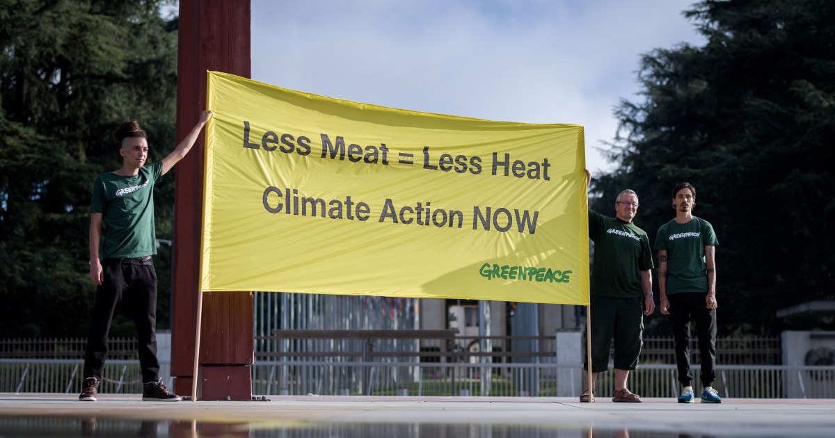 Less Meat Less Heat Eat less meat: IPCC report calls for new diets to curb global warming